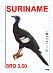 Blue-throated Piping Guan Pipile cumanensis  2009 Birds Sheet