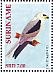 White-tailed Kite Elanus leucurus  2012 Birds 