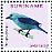 Blue-grey Tanager Thraupis episcopus