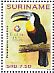 Channel-billed Toucan Ramphastos vitellinus  2013 Thailand 2013 6v set