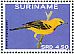 Yellow Oriole Icterus nigrogularis  2014 Birds 