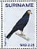 Black Caracara Daptrius ater  2015 Birds Sheet