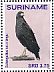 Great Black Hawk Buteogallus urubitinga  2015 Birds Sheet