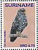 Black-banded Owl Strix huhula  2015 Birds Sheet
