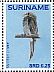 Common Potoo Nyctibius griseus  2015 Birds Sheet