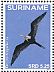 Magnificent Frigatebird Fregata magnificens  2016 Birds Sheet