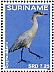 Whistling Heron Syrigma sibilatrix  2016 Birds Sheet