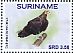 Lesser Yellow-headed Vulture Cathartes burrovianus  2017 Birds Sheet