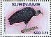Black Vulture Coragyps atratus  2017 Birds Sheet