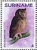 Abyssinian Owl Asio abyssinicus  2018 Owls 2x12v sheet