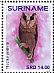 Sri Lanka Bay Owl Phodilus assimilis  2018 Owls 2x12v sheet