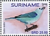 Blue-grey Tanager Thraupis episcopus