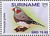 Australian Zebra Finch Taeniopygia castanotis  2018 Upaep 