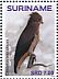 Beaudouin's Snake Eagle Circaetus beaudouini  2018 Birds of prey 2x12v sheet
