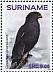 Western Banded Snake Eagle Circaetus cinerascens  2018 Birds of prey 2x12v sheet