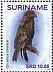 Brown Snake Eagle Circaetus cinereus  2018 Birds of prey 2x12v sheet