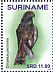 Black-chested Snake Eagle Circaetus pectoralis  2018 Birds of prey 2x12v sheet