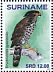 Congo Serpent Eagle Circaetus spectabilis  2018 Birds of prey 2x12v sheet