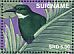 Green-tailed Jacamar Galbula galbula  2018 Nature  MS MS