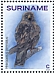 Booted Eagle Hieraaetus pennatus  2019 Eagles 2x12v sheet