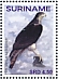 African Hawk-Eagle Aquila spilogaster  2019 Eagles 2x12v sheet