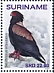 Bateleur Terathopius ecaudatus  2019 Eagles 2x12v sheet