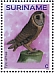 Moluccan Masked Owl Tyto sororcula  2019 Owls 2x12v sheet