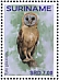 Ashy-faced Owl Tyto glaucops  2019 Owls 2x12v sheet