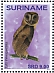 Minahassa Masked Owl Tyto inexspectata  2019 Owls 2x12v sheet