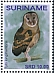 Eastern Grass Owl Tyto longimembris  2019 Owls 2x12v sheet