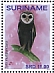 Lesser Sooty Owl Tyto multipunctata  2019 Owls 2x12v sheet