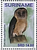Australian Masked Owl Tyto novaehollandiae  2019 Owls 2x12v sheet