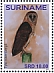 Sulawesi Masked Owl Tyto rosenbergii  2019 Owls 2x12v sheet