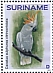 Yellow-crested Cockatoo Cacatua sulphurea  2019 Parrots 2x12v sheet