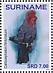 Gang-gang Cockatoo Callocephalon fimbriatum  2019 Parrots 2x12v sheet