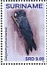 Red-tailed Black Cockatoo Calyptorhynchus banksii  2019 Parrots 2x12v sheet