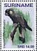 Carnaby's Black Cockatoo Zanda latirostris  2019 Parrots 2x12v sheet