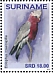 Galah Eolophus roseicapilla  2019 Parrots 2x12v sheet