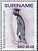 Southern Rockhopper Penguin Eudyptes chrysocome  2020 Penguins 