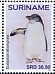 Little Penguin Eudyptula minor  2021 Penguins 2x6v sheet