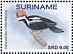 Crimson-crested Woodpecker Campephilus melanoleucos  2021 Birds 2x12v sheet