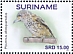 White-wedged Piculet Picumnus albosquamatus  2021 Birds 2x12v sheet