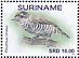 White-barred Piculet Picumnus cirratus  2021 Birds 2x12v sheet