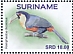 Green-billed Toucan Ramphastos dicolorus  2021 Birds 2x12v sheet