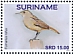 Rufous Hornero Furnarius rufus  2022 Birds 2x12v sheet