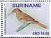 Scaled Woodcreeper Lepidocolaptes squamatus  2022 Birds 2x12v sheet