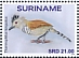 Rufous-winged Antshrike Thamnophilus torquatus  2022 Birds 2x12v sheet
