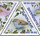 Star-throated Antwren Rhopias gularis  2023 Birds Sheet