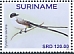 Fork-tailed Flycatcher Tyrannus savana