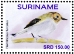 Fork-tailed Tody-Tyrant Hemitriccus furcatus